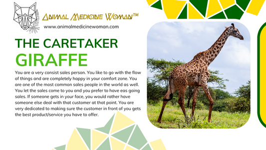 The Caretaker: Giraffe