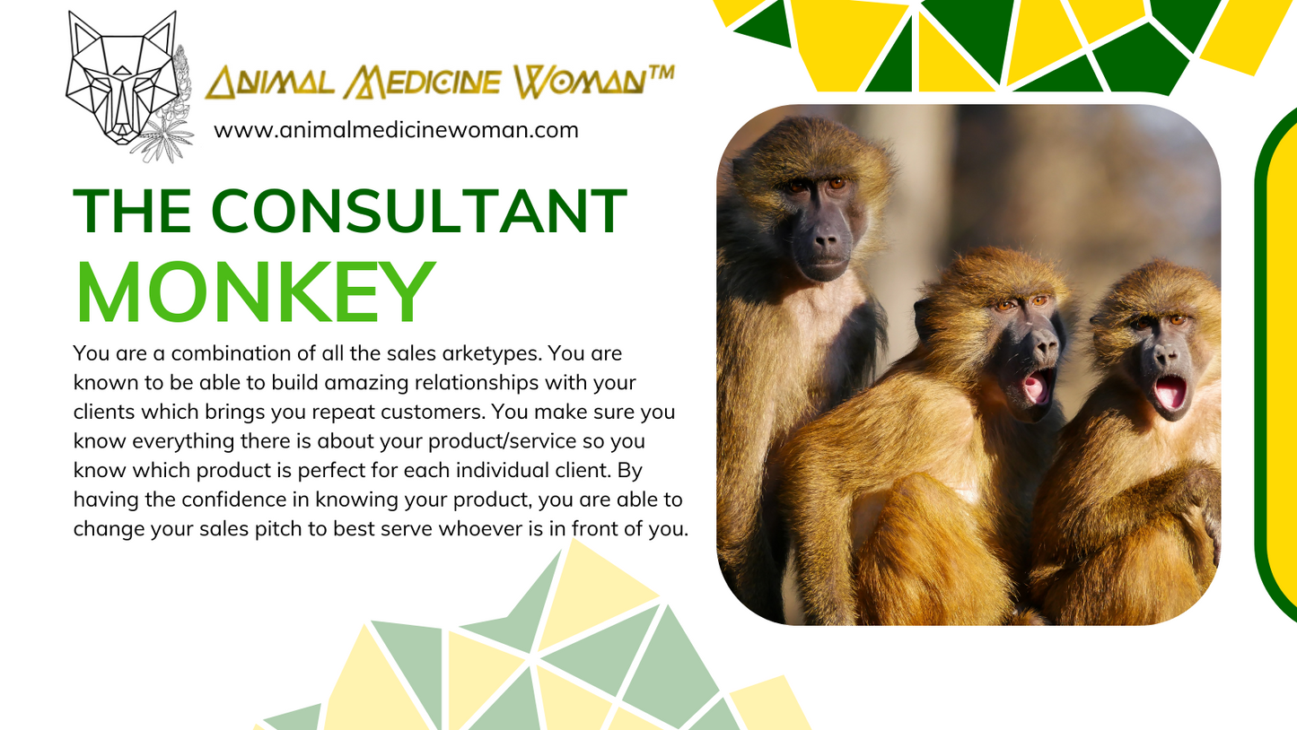 The Consultant: Monkey