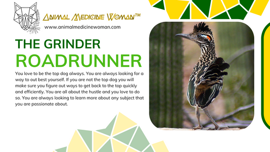 The Grinder: Roadrunner