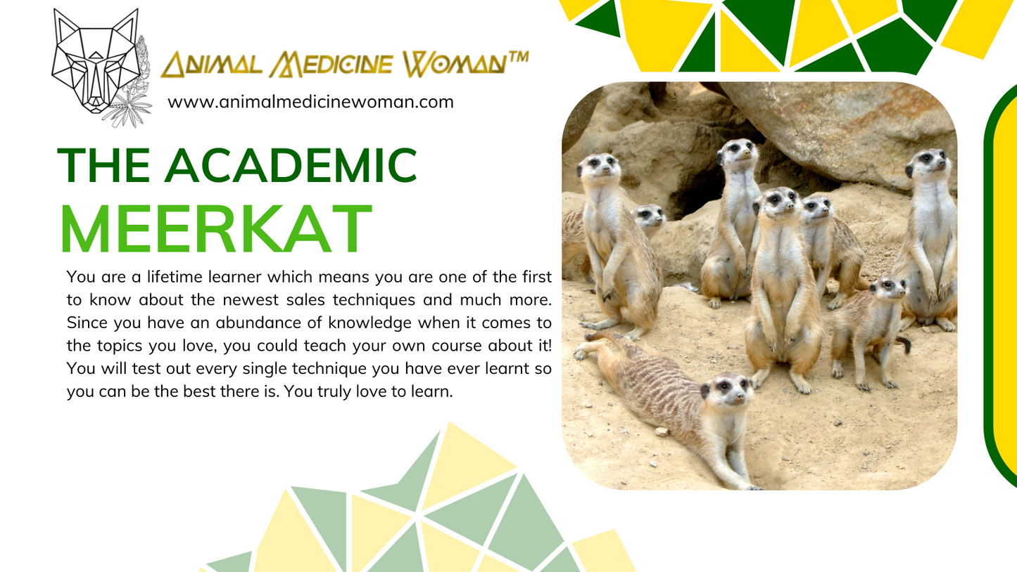 The Academic: Meerkat